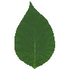 image8
