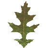 image10